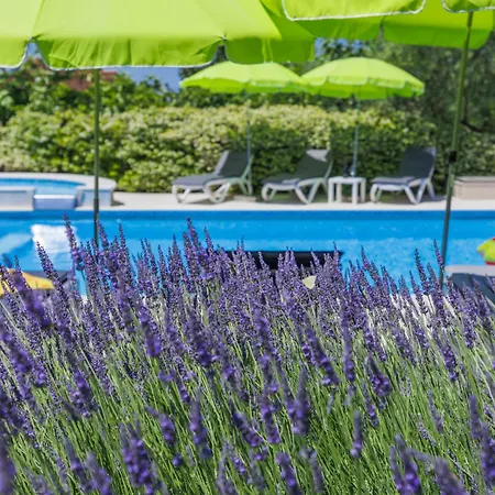 Holiday Home Villa Anamaria By Interhome Plovanija